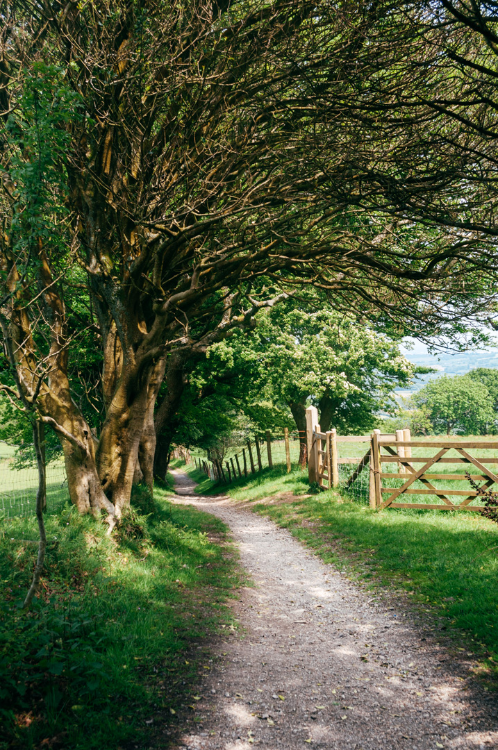 Beyond Pinterest Discover the best places to find inspiration - country lane