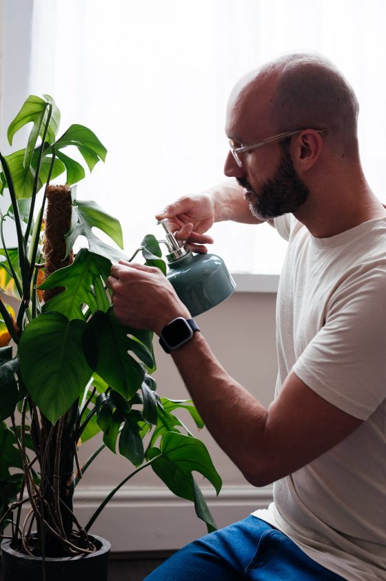 Juan Sandiego spraying a potted monstera indoor plant to raise the humidity